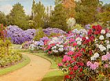 The Rhododendron Walk by George Marks